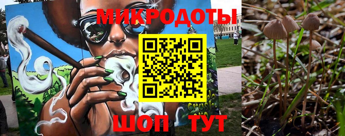 Псилоцибиновые грибы Cubensis Гагарин